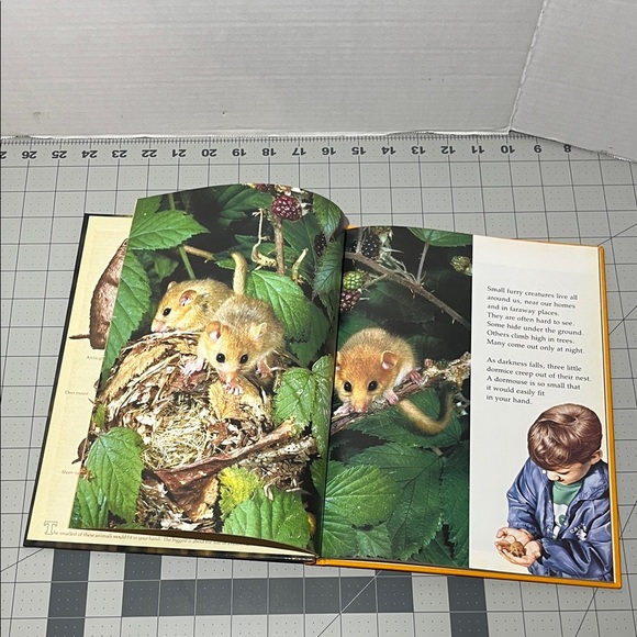 Creatures Small and Furry Book - Picture 5 of 6